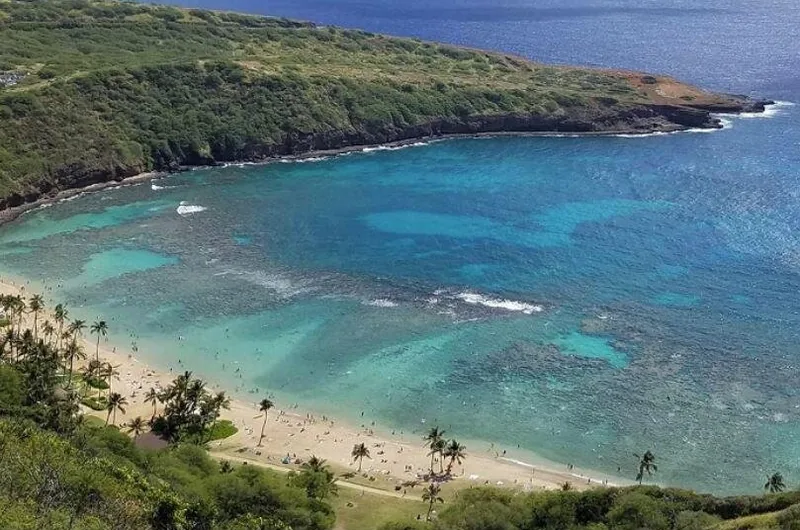 Ultimative Tour: Pearl Harbor & Inselrundfahrt